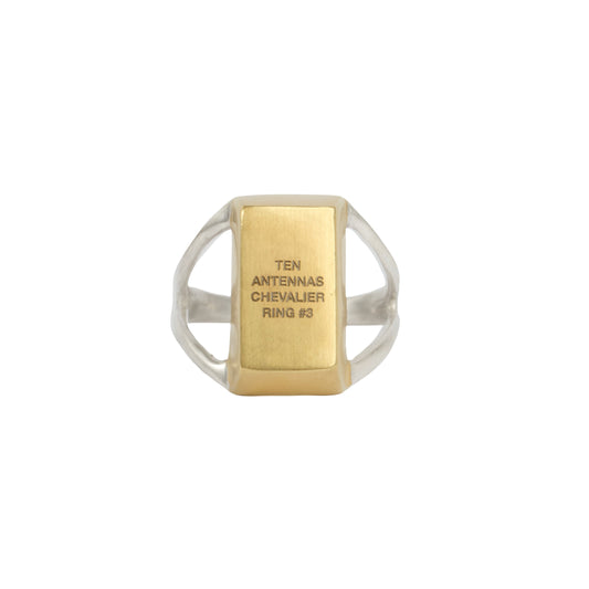 CR3 // Chevalier Ring #3 Giant Chunky Silver Signet Ring With A Gold Bullion